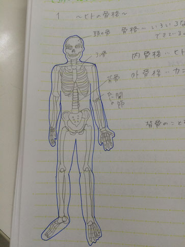 このリアルなガイコツ・・・ 今にも動き出しそう!