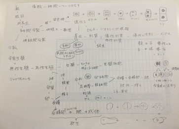 図をうまく利用して、覚えたことを書き出しています!