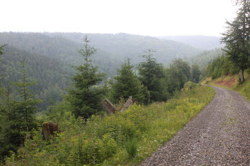 auf dem Pfeiffersweg zurück