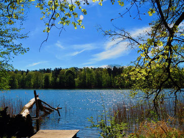 Drewensee baden