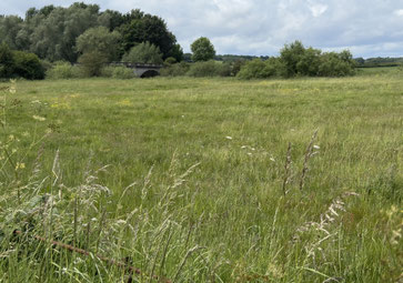 Meadow and bridge at Cressage