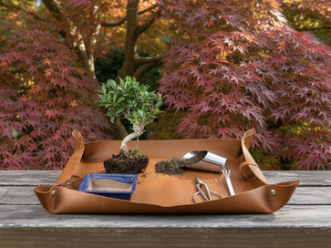 Bonsai-Werkzeug Versand shop - www.bonsai-hassler.de