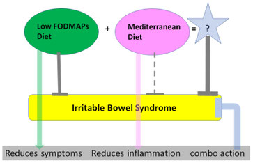Grafische Darstellung der Hypothese zur mLFD: Pfade führen von der Low-FODMAP-Diät über die Symptomlinderung zum Reizdarm sowie von der mediterranen Kost über die Entzündungshemmung. Als Resultat beim Aufaddieren beider Effekte steht ein Fragezeichen.