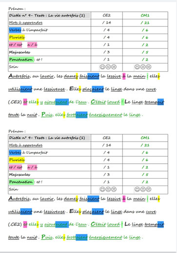 Orthographe Dictées Picot Grammaire Méthode Picot Correction CE2 CM1 cycle 2 cycle 3