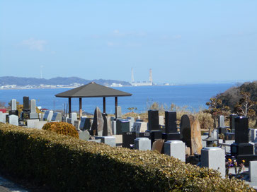 三浦霊園,海が見える