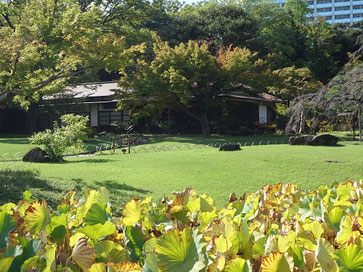 小石川後楽園の画像