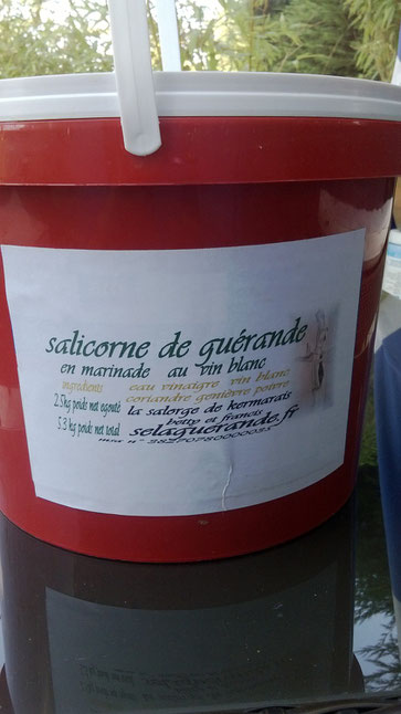 salicorne pot de 2.5kg