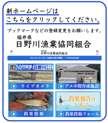 日野川漁業協同組合 日野川漁業協同組合オフィシャルサイト