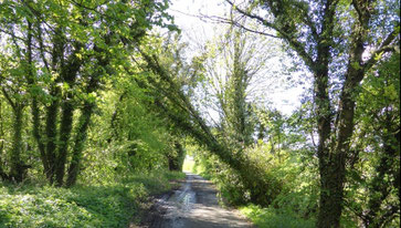 Forge Lane: image by Brownhills Bob on Google Maps - click the image to go to that website.