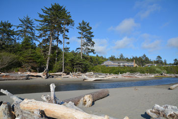 Blick über den Kalaloch Creek zur Lodge