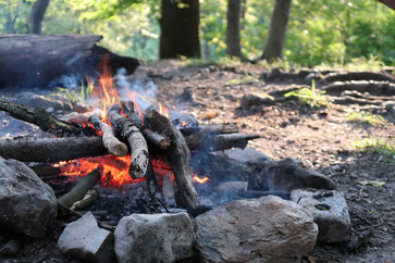 Grillfeuer an einer Feuerstelle im Wald als Symbol für die Lebenskraft (Qi).