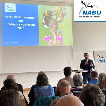 Foto: Reiner Brückner