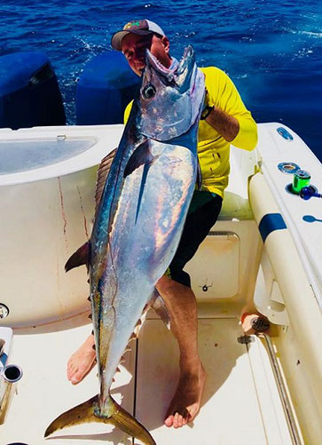 seychelles-fishing reports & information - Seychelles fishing - reports &  information - Seychellen angeln