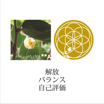 アフリカンツリーエッセンス太古の森のミスト「ブラックバーク」