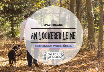 Hundeschule, Butzbach, Hund, Training, lockere Leine, Leinenführung, Fun-Dog, Hundetraining 