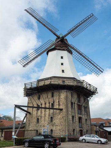 Bild: Die Holländer Mühle Armanda in Kappeln an der Schlei