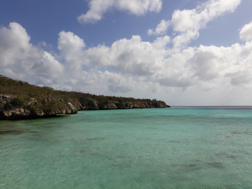 Die beliebtesten Work and Travel Reiseländer sind Australien, Neuseeland und Kanada