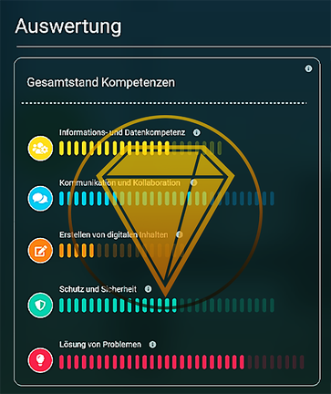 Auswertung eines Digitalchecks (Screenshot Website talent::digital). 