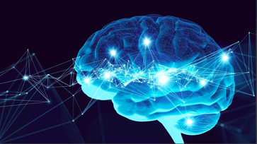 MODERNE HIRNFORSCHUNG