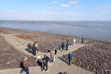 肥前鹿島干潟にて.初・干潟という方もいたので,ご紹介できてよかったです.