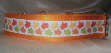 martingale, Halsband, 4cm, Gurtband goldorange, Borte mit buntem Laub