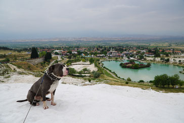Babble steht Model auf Pamukkale Terrassen