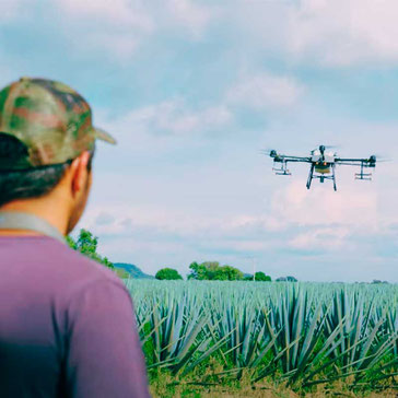 Genere Ingresos Drone Agricola