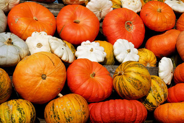 Courges