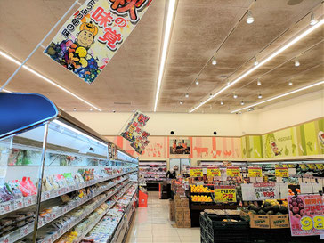 カビ取り前の天井