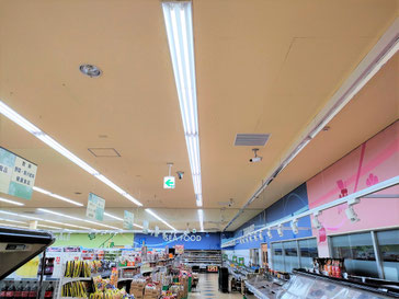 防カビ施工後の天井