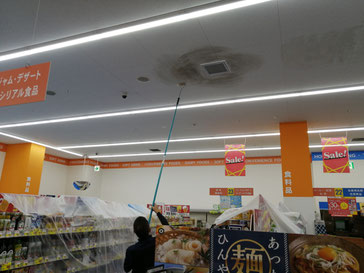 カビ除去作業中