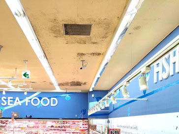 カビ取り前の天井