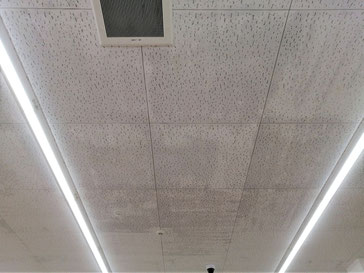 防カビ施工後の天井