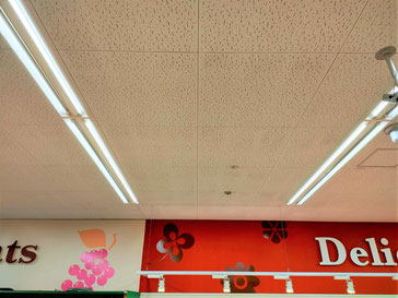 防カビ施工後の天井
