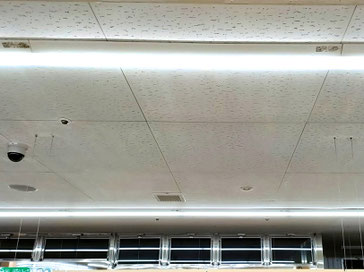 防カビ施工後の天井