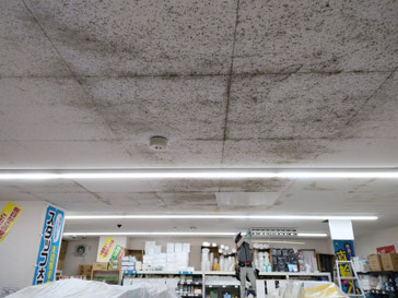 カビ取り前の天井