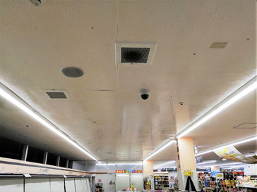 防カビ施工後の天井