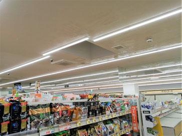 防カビ施工後の天井