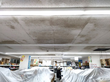 天井のカビ取り作業中