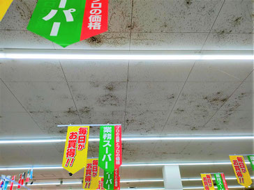 カビ取り前の天井