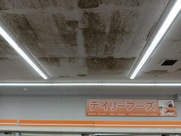 カビ取り前の天井