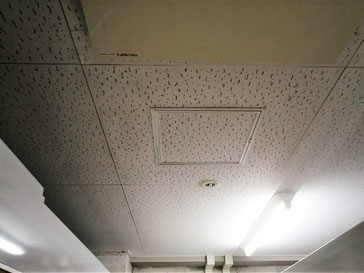 防カビ施工後の天井