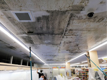 カビ除去作業中