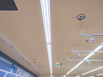 防カビ施工後の天井