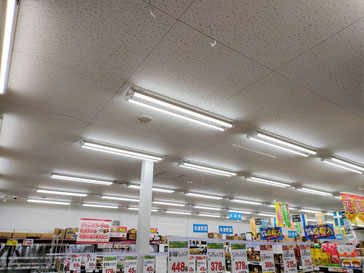 防カビ施工後の天井