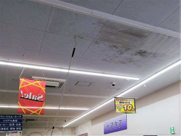 カビ除去作業中