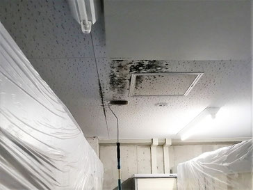 カビ除去作業中