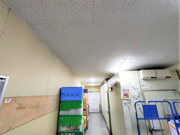 防カビ施工後の天井