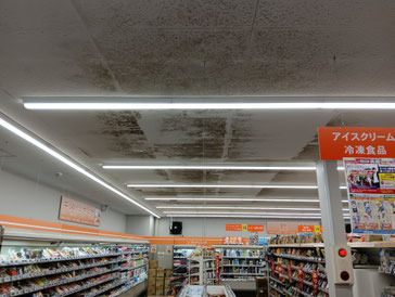 カビ取り前の天井