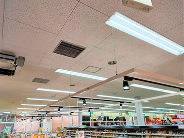 防カビ施工後の天井